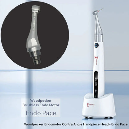 Woodpecker Endomotor Contra Angle Handpiece Head Endo Pace | Endo Handpiece
 contra angle handpiece Delhi NCR
 buy contra angle handpiece online India
 low speed contra angle handpiece supplier Delhi
 dental contra angle handpiece best price
 1:5 contra angle handpiece Delhi
